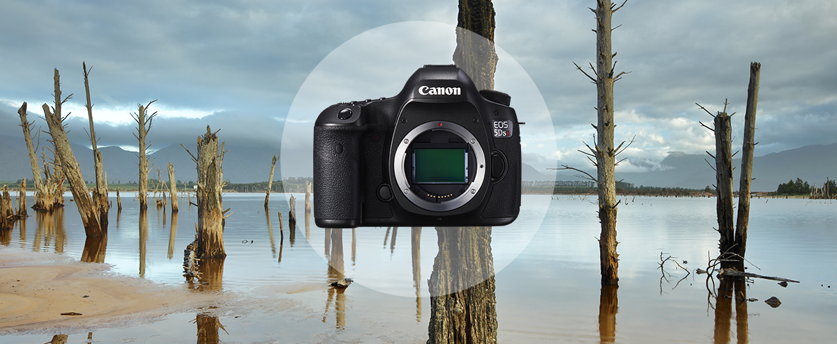5ds camera